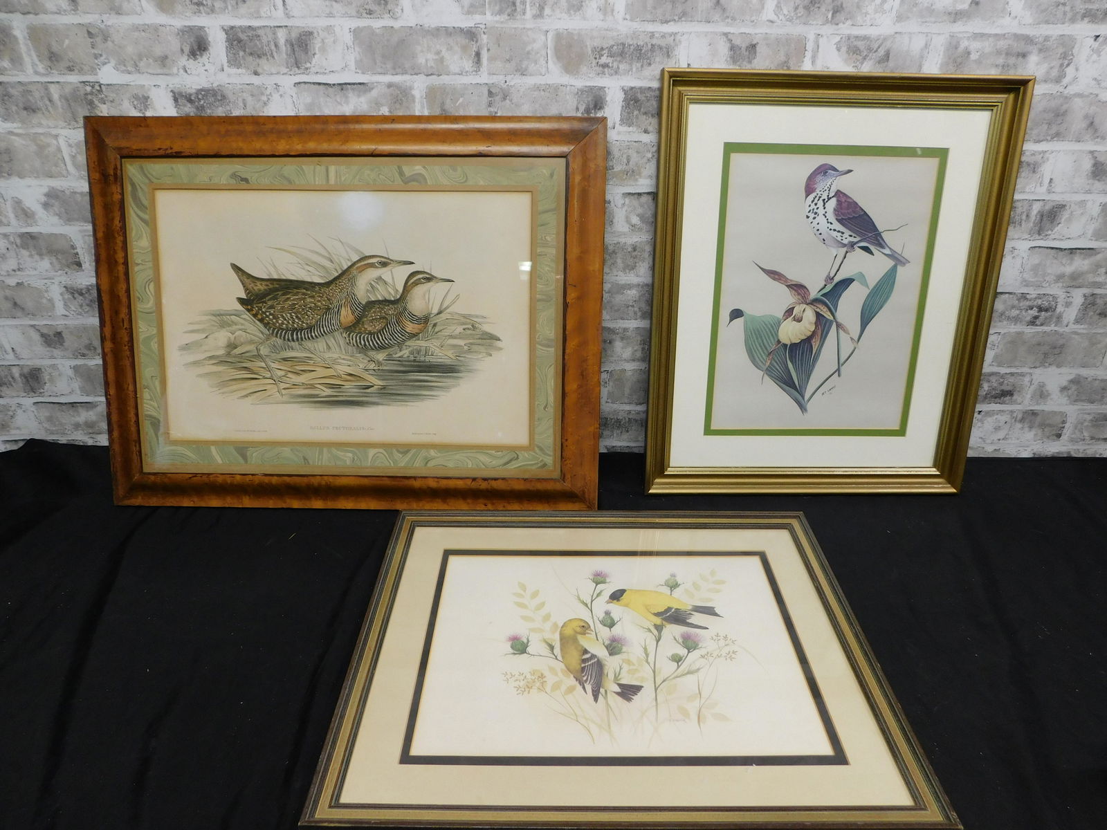 Lot of 3 Bird Prints (1 of 8)