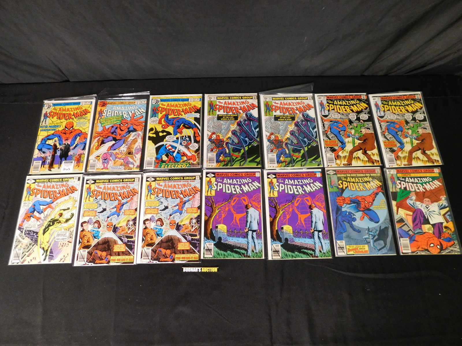 Lot of 14 The Amazing Spider-Man Comics - 70's (1 of 4)