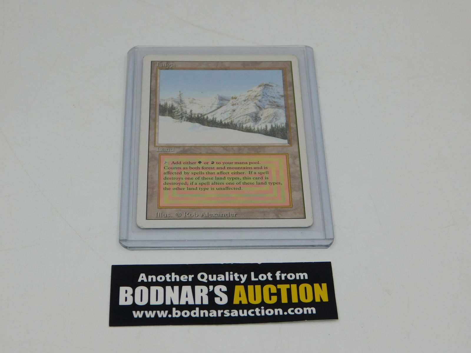 MTG Taiga - Revised 3rd Edition (1 of 2)