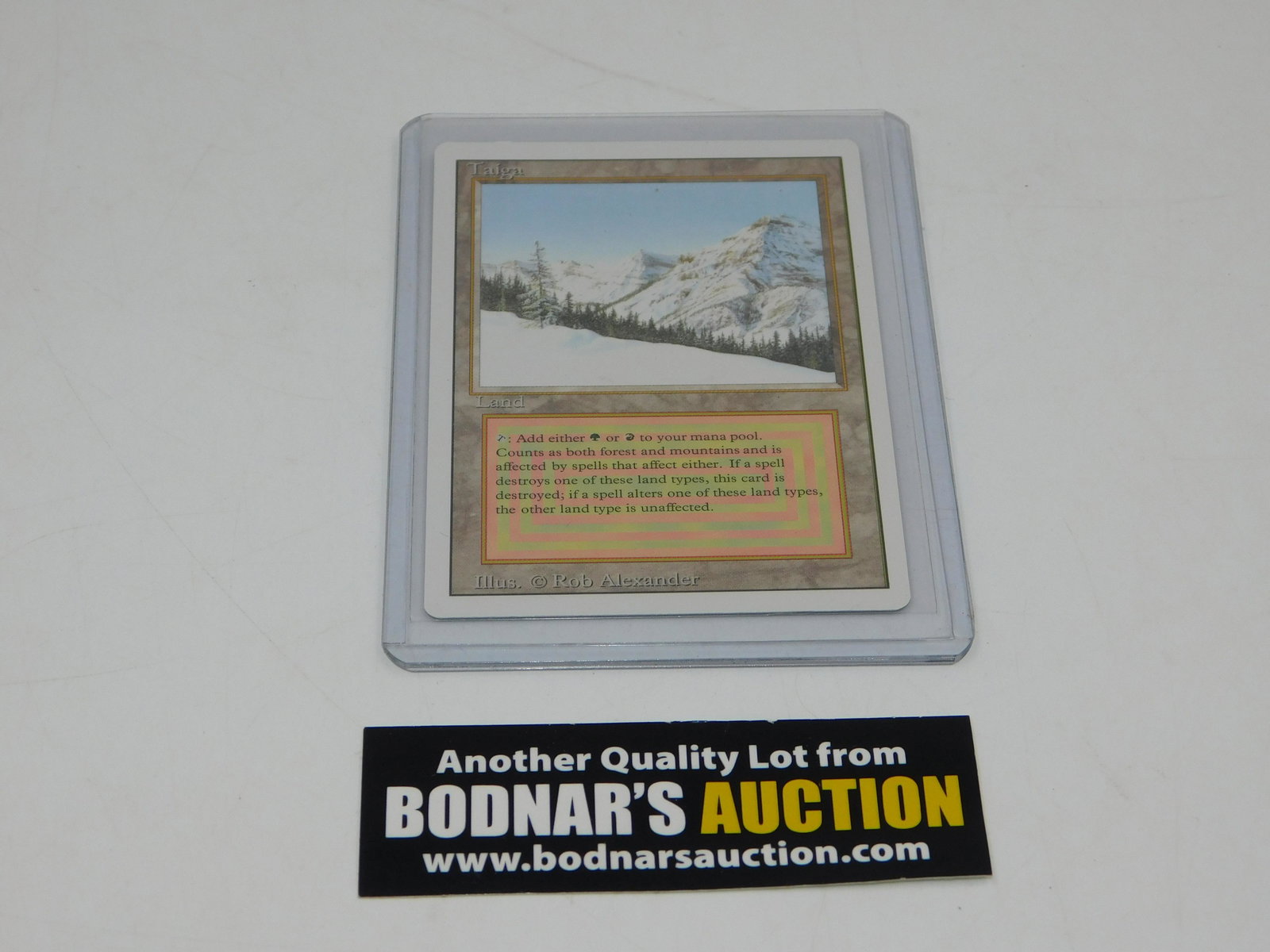 MTG Taiga - Revised 3rd Edition (1 of 2)