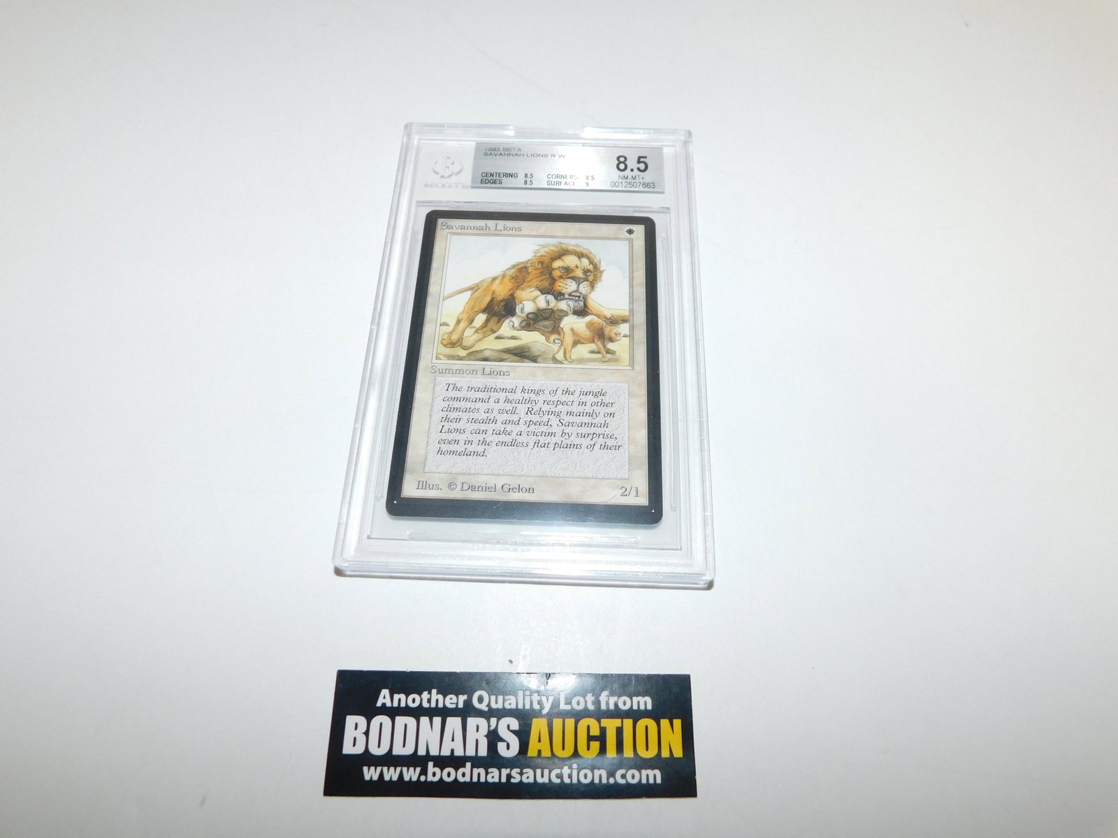 MTG Savannah Lions - Beta BGS 8.5 (1 of 4)