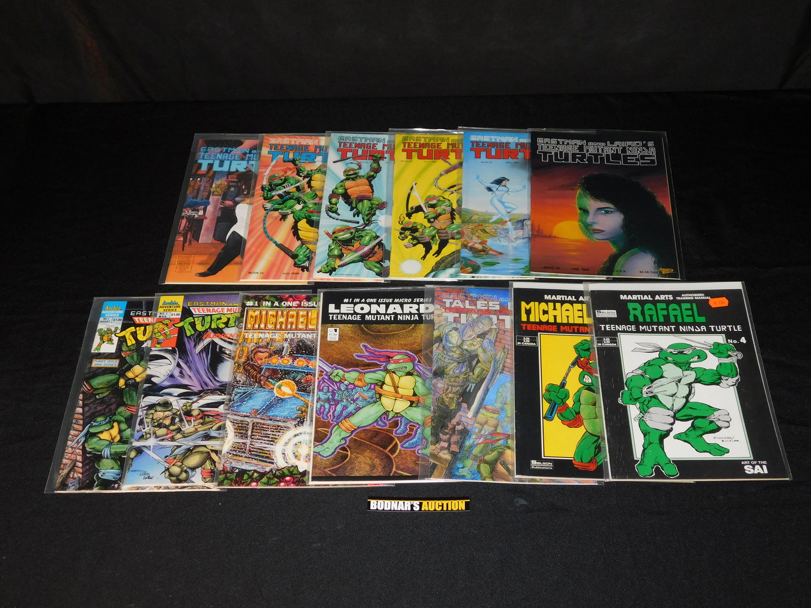 Lot of 13 Eastman & Laird's and Archie Teenage Mutant (1 of 4)