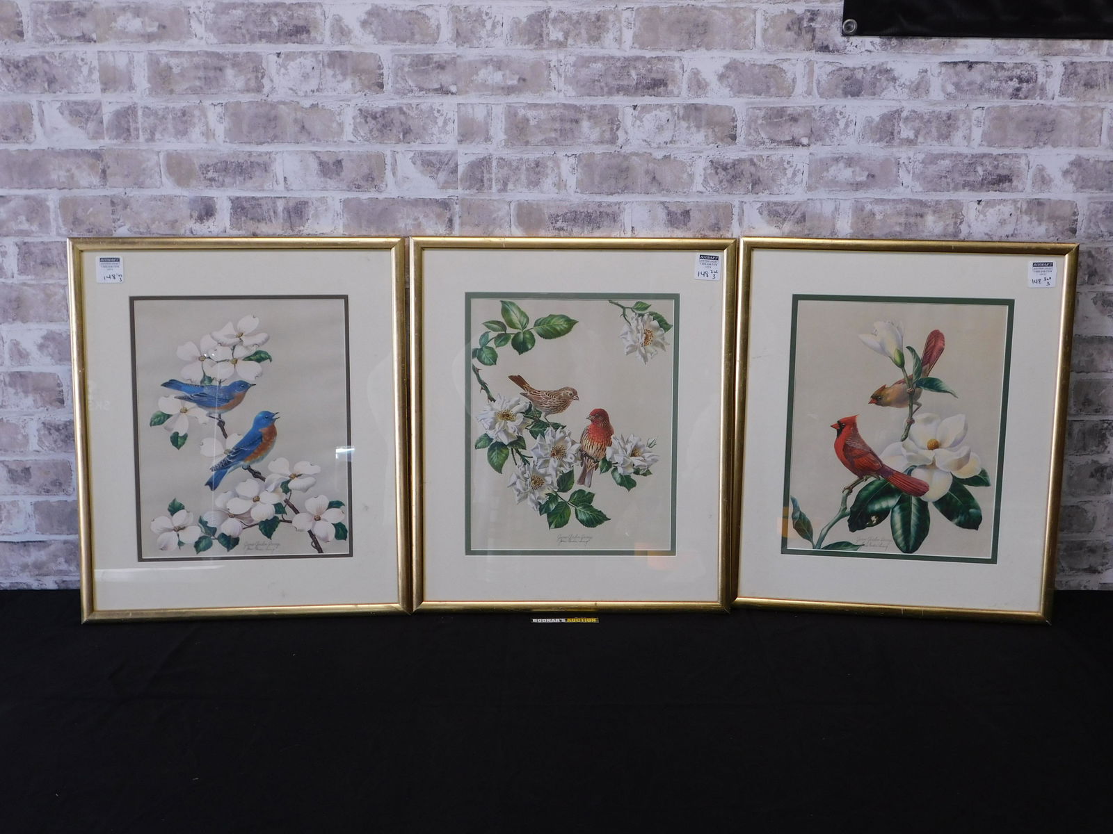 Lot of 3 James Gordon Irving Bird Prints (1 of 7)