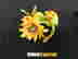 item-123620297=2