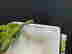 item-123620297=9