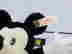 item-128151861=3