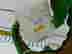 item-128151870=3