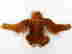 item-128151878=4