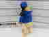 item-128151880=3