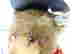 item-128151908=4