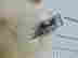 item-128151915=3