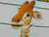 item-128151921=3