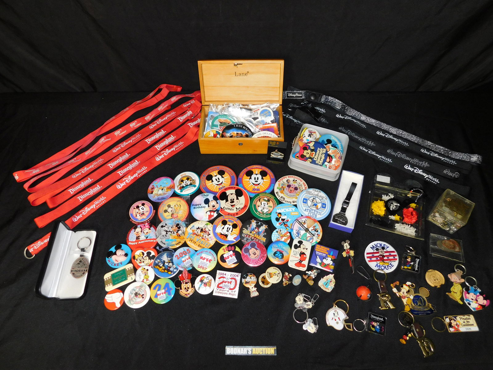 Lot of Disney Buttons, Laynyards, Keychains, Pinbacks (1 of 8)