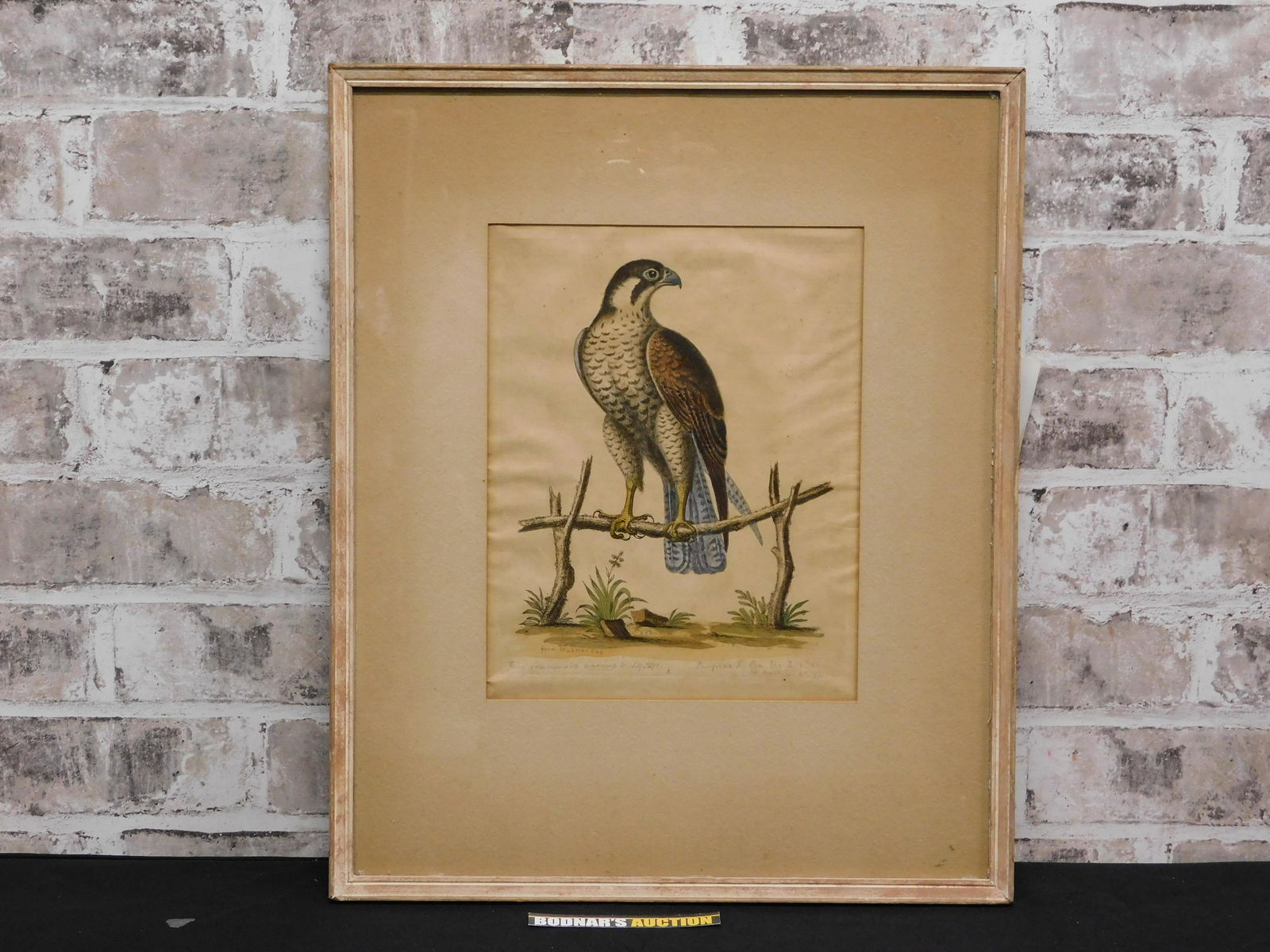Framed 18th/19th Century Hand-Colored Engraving (1 of 9)