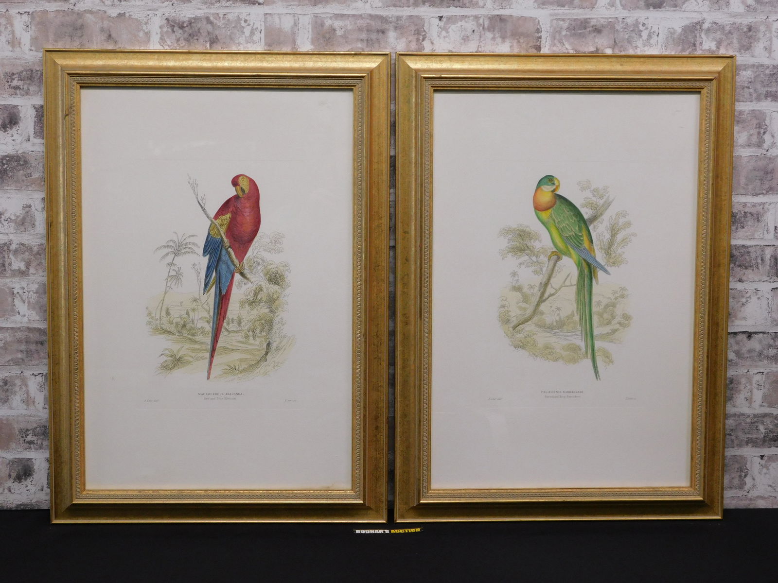 Pair of lithographs/Etching by Lixars (1 of 11)