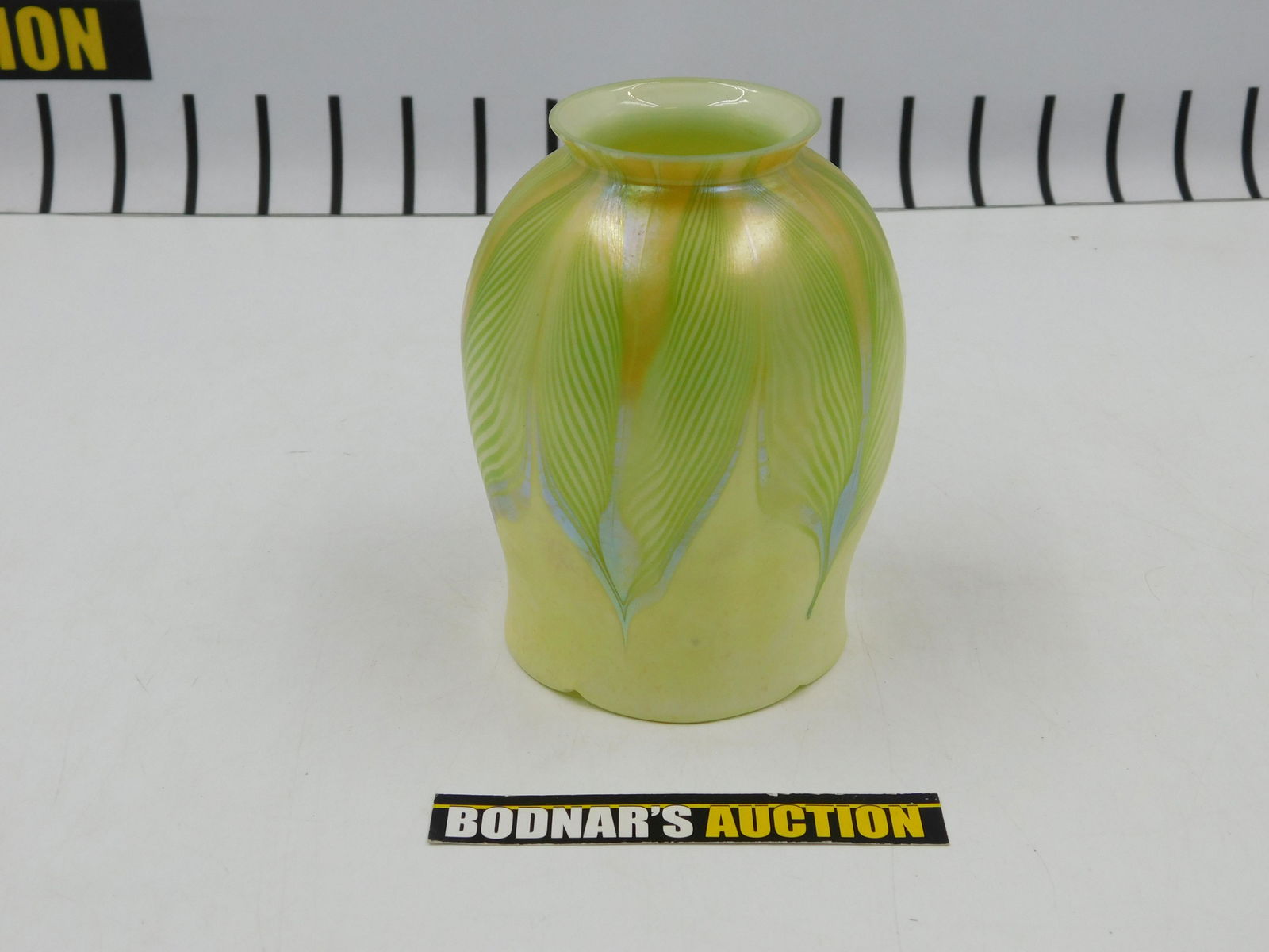 LCT Art Glass Lamp Shade (1 of 8)