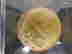 item-131313649=9