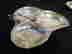 item-133915022=2