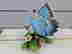 item-133915050=4