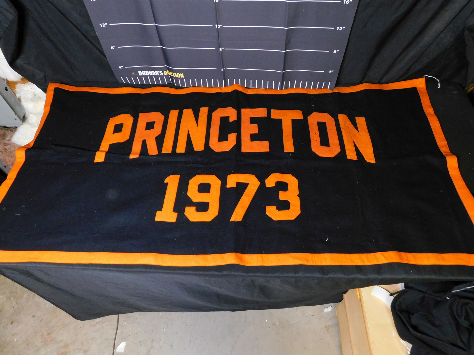 Princeton 1973 Felt Banner (1 of 3)