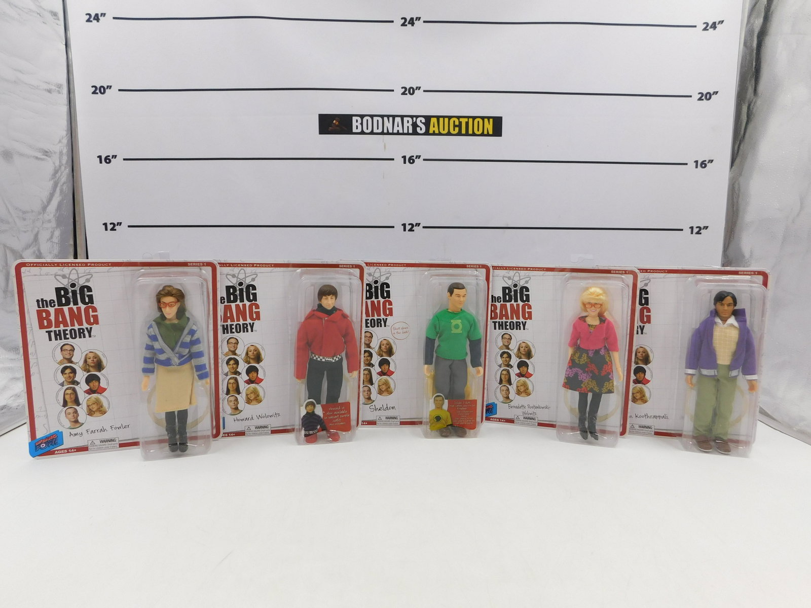 Lot of 5 Big Bang Theory Action Figures: Lot of 5 Big Bang Theory Action Figures by Biff Bang Pow including Rajesh Koothrappali, Bernadette Rostenkowski-Wolowitz, Sheldon, Howard Wolowitz, and Amy Farrah Fowler. All invoices must be paid wit