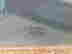 item-137046463=3