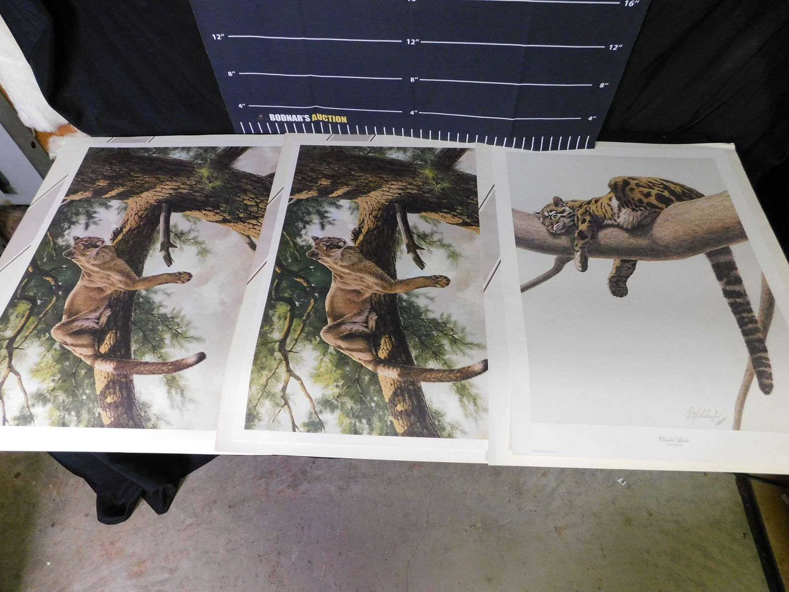 Lot of 3 Unframed Prints (1 of 16)
