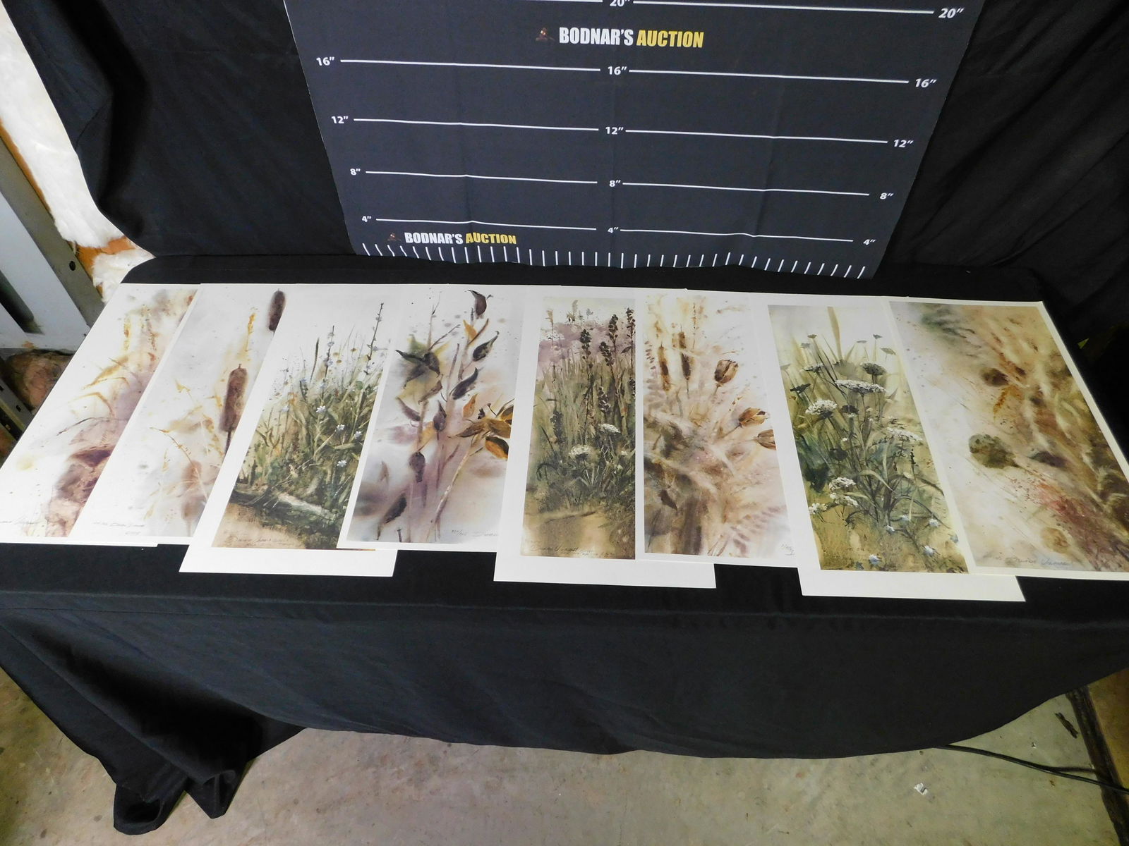 Lot of 8 Unframed Prints of Flowers in the Wild (1 of 17)