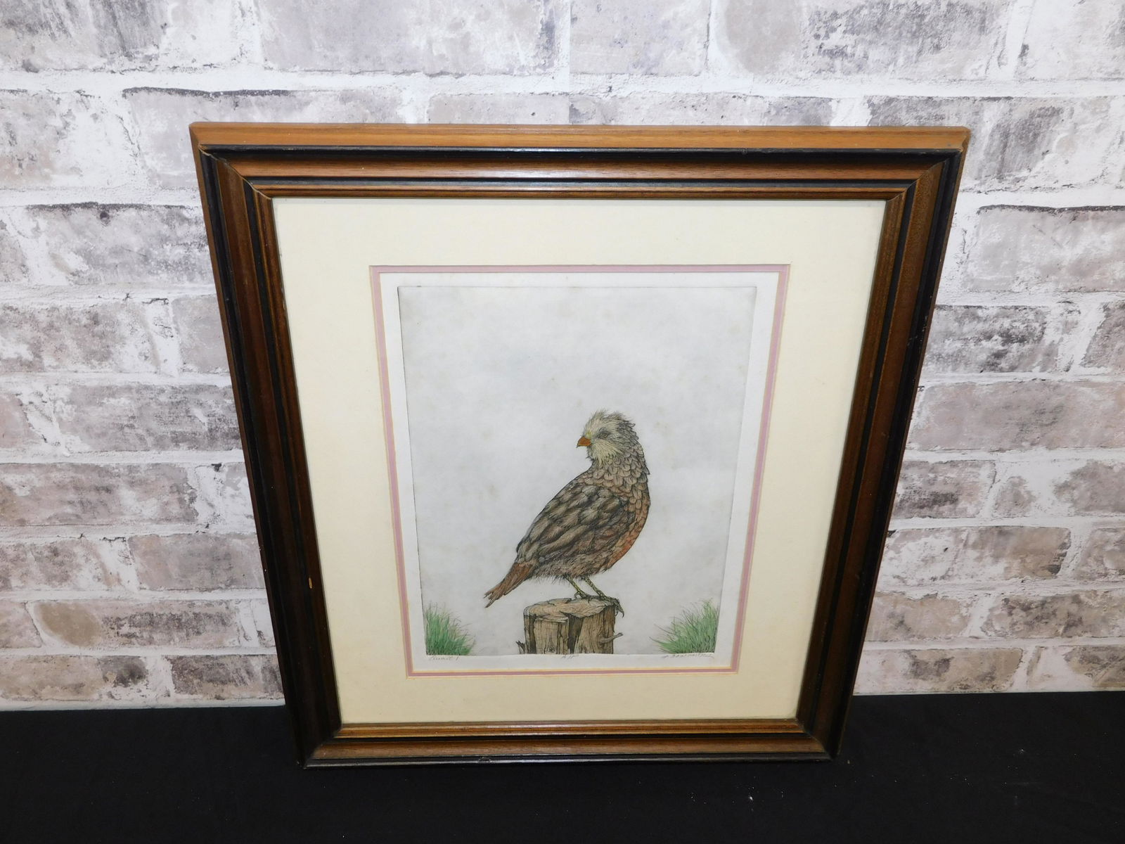 Framed Artist Proof - Quail 1 (1 of 4)
