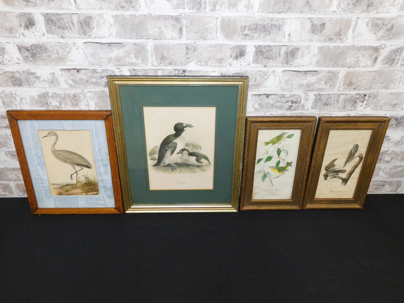 Lot of 4 Hand Colored Wood Cuts: Lot of 4 Hand Colored Wood Cuts including "The Great Auk" by JG Keulemans (1842-1912), Crane - Unsigned, Nashville Swamp Warbler by John James Autobahn (1785-1851), and Hawk Owl by John James Autobahn