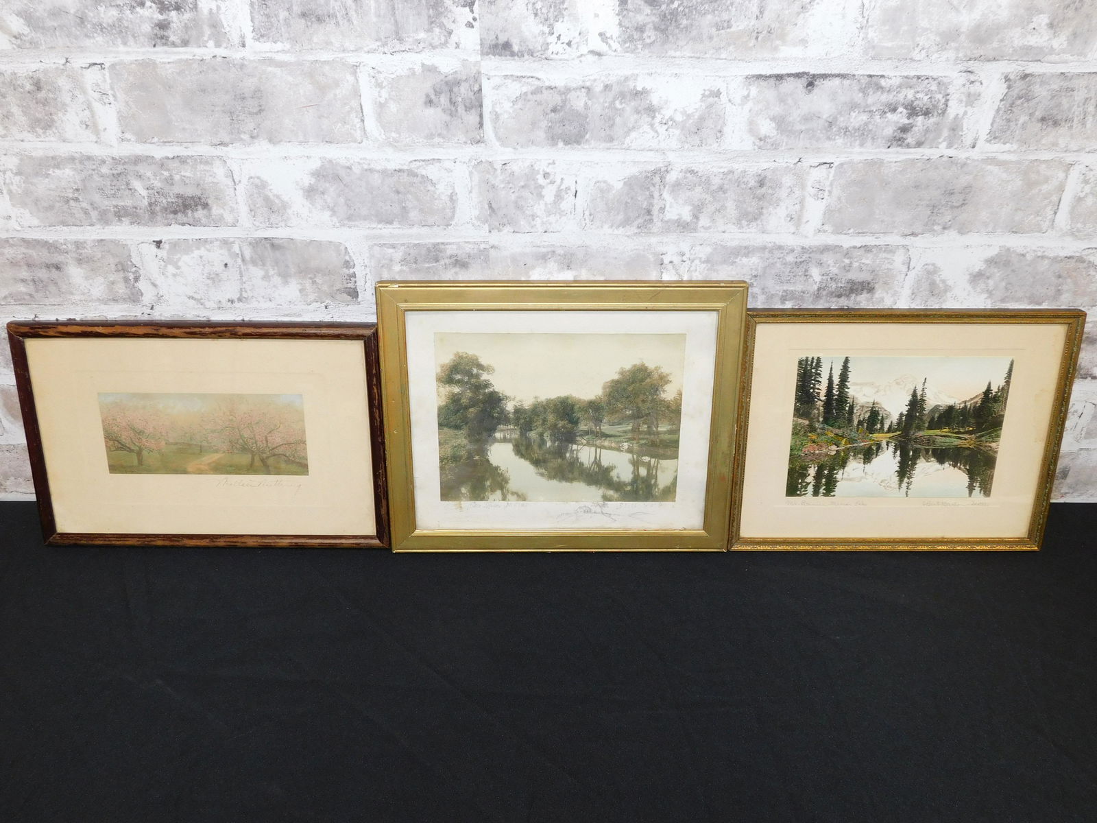 Lot of 3 Hand Colored Art Photographs (1 of 7)