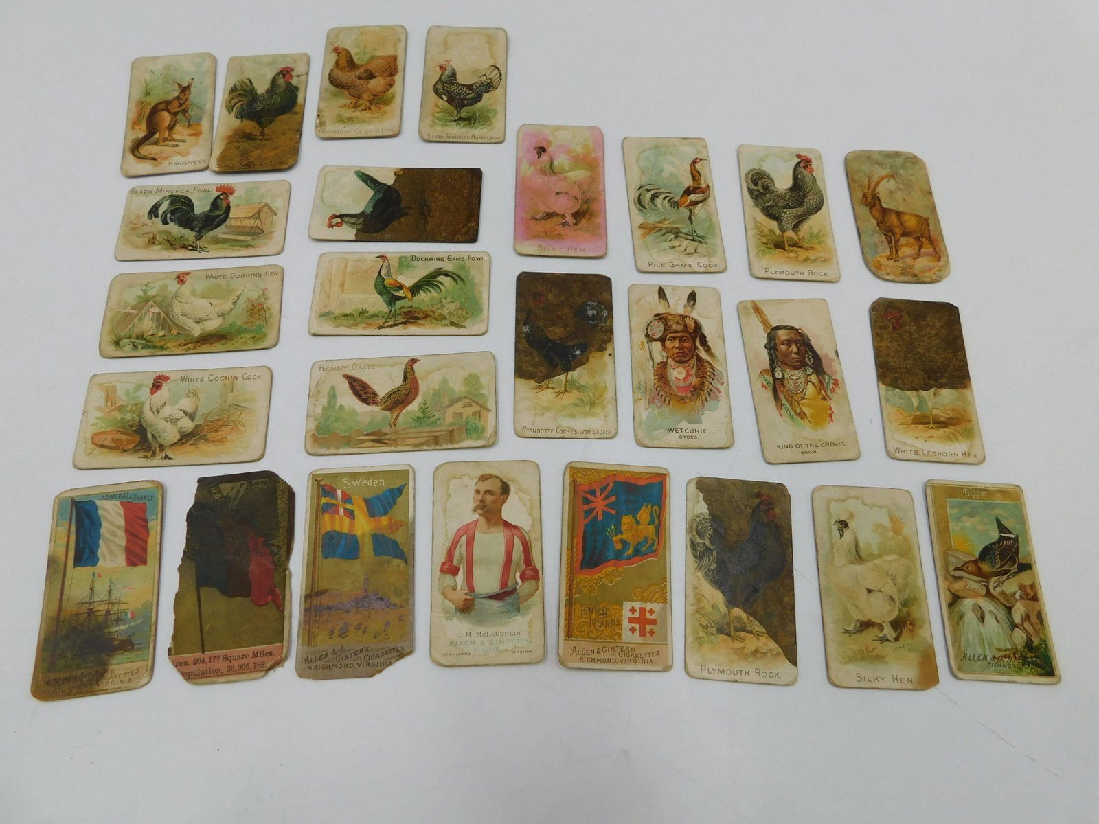 Lot of Tobacco Cards (1 of 6)