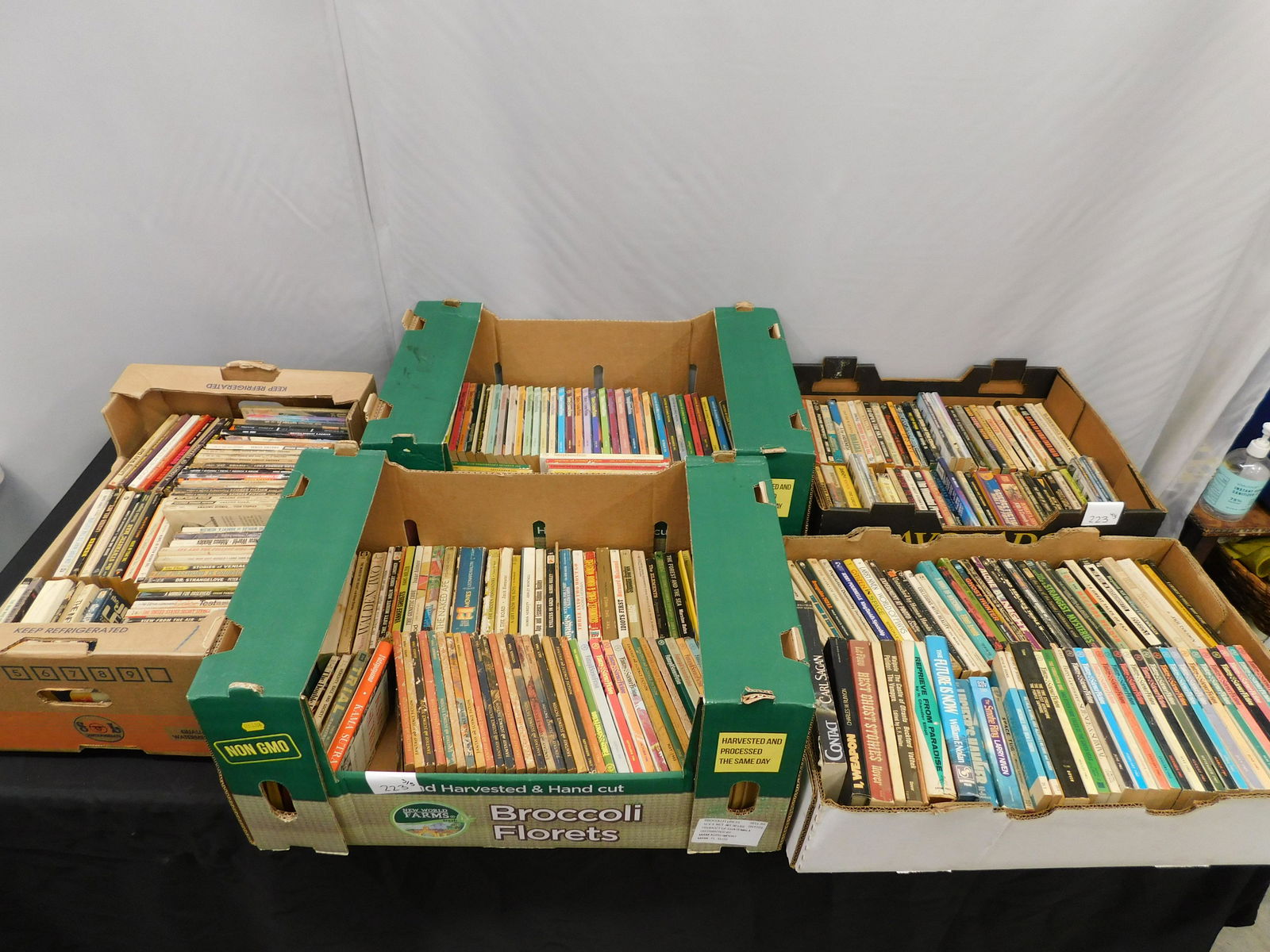 Enormous Lot of Science Fiction & Fantasy Paperback Books (1 of 6)