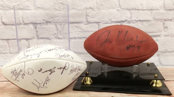 Lot of 2 Autographed Footballs: Lot of 2 Autographed Footballs including Brown with New York Jets Player - Joe Klecko and White and Brown Football with New York Giants - Multiple Signatures including Terry Jackson, Stephen Baker, an