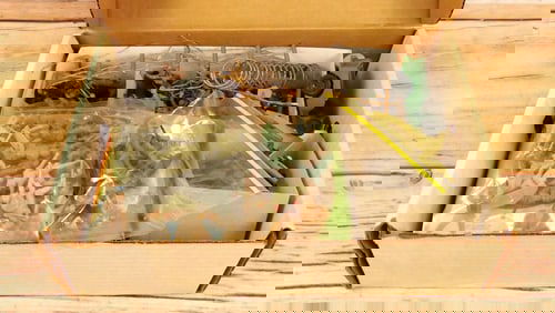 Lot of WWII 54mm Plastic Figures