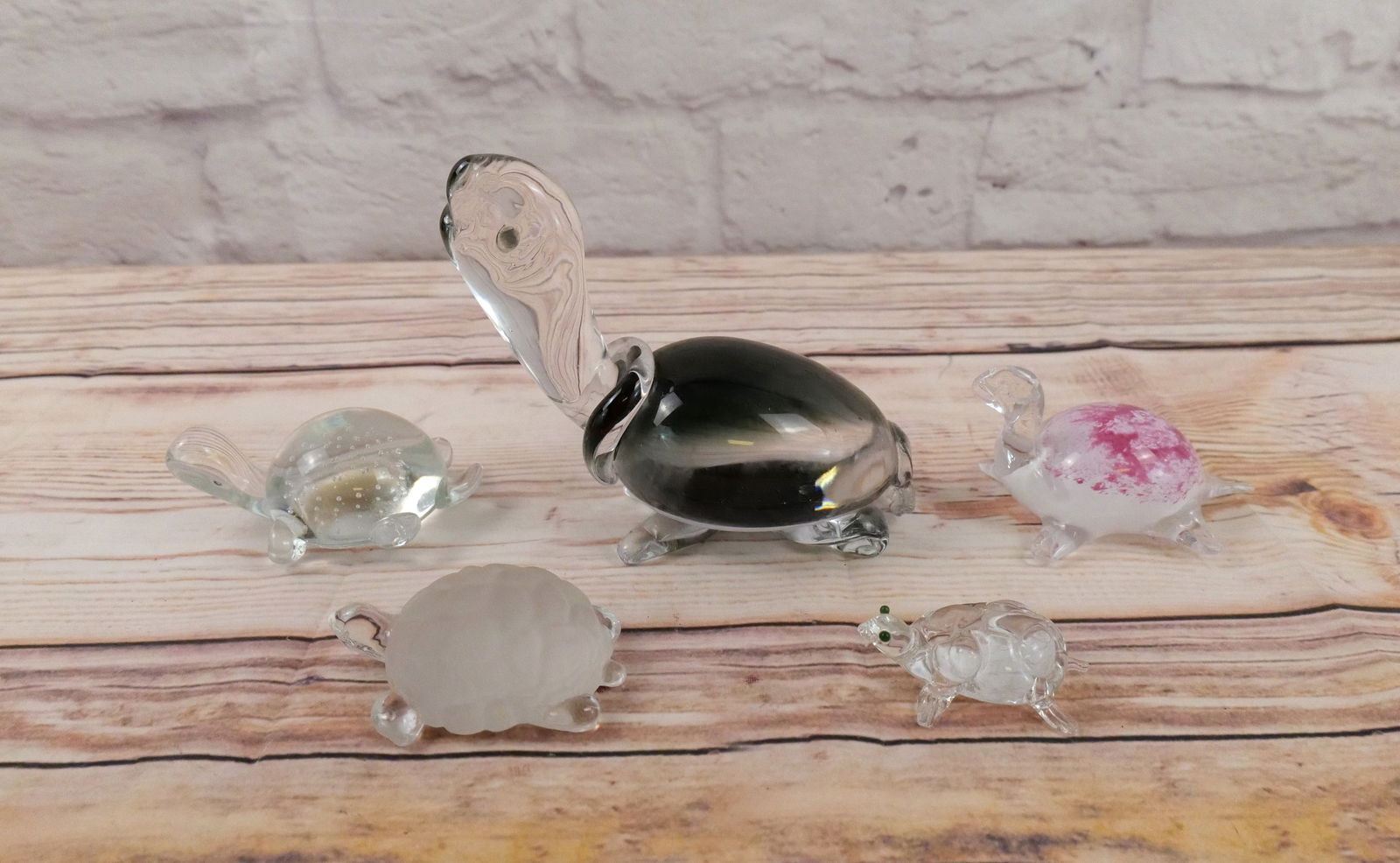 5 Art Glass Turtles (1 of 16)