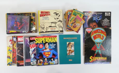 Box Lot of Comic Related Media Items