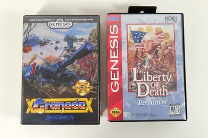 Lot of 2 Sega Genesis Video Games