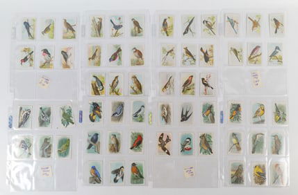 Arm & Hammer Tobacco Cards