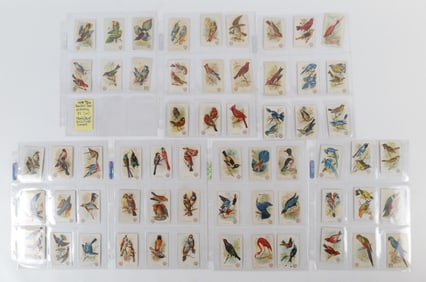 Arm & Hammer Tobacco Cards