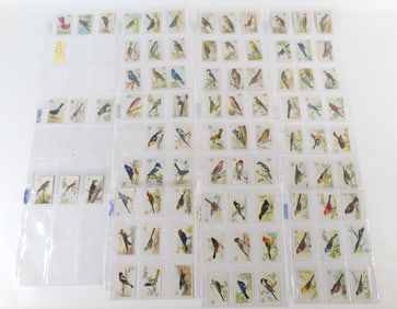 Grouping of Tobacco Cards