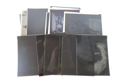 Lot of 25 Negatives by Gustavo Parras