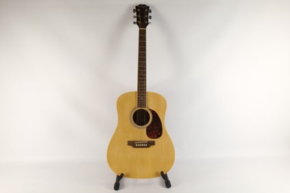 Carlo Robelli Acoustic Guitar