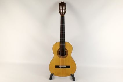 Montana Acoustic Guitar