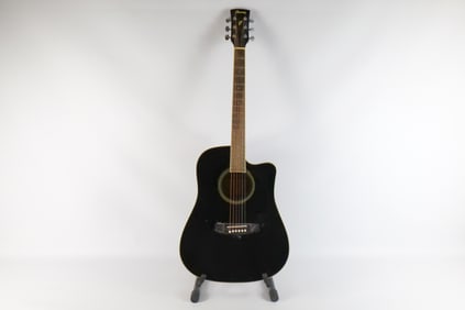 Ibanez Acoustic Guitar