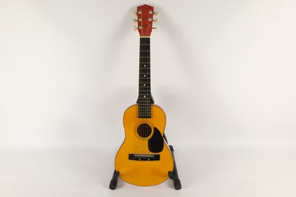 Montana Acoustic Guitar