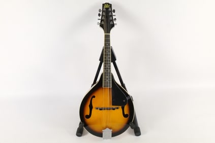 Rogue 8 String Mandolin