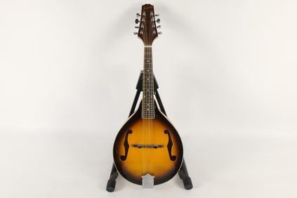 Johnson 8 String Mandolin