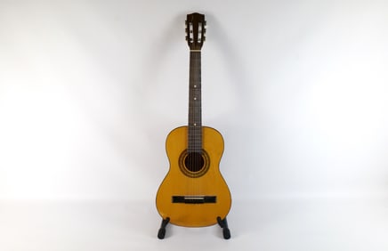 Reghin Acoustic Guitar