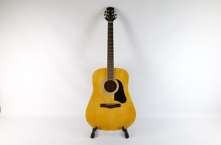 Silvertone Pro Series Acoustic Guitar